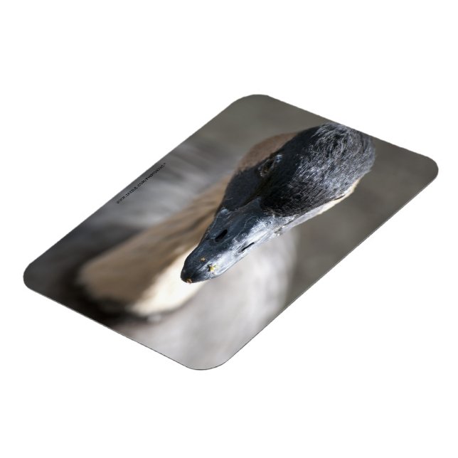 Gås Magnet (Vänstra Sidan)