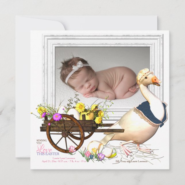 Gås med meddelande för äggfotofödelse inbjudningar (Framsida)