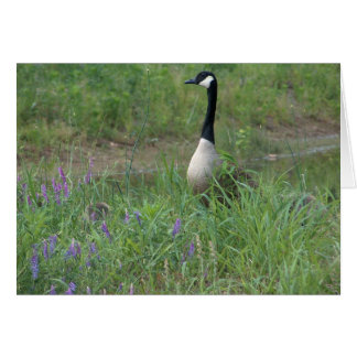 Gås med nederlagGoslings Hälsningskort