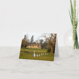 Gås och gässungars dagstur kort