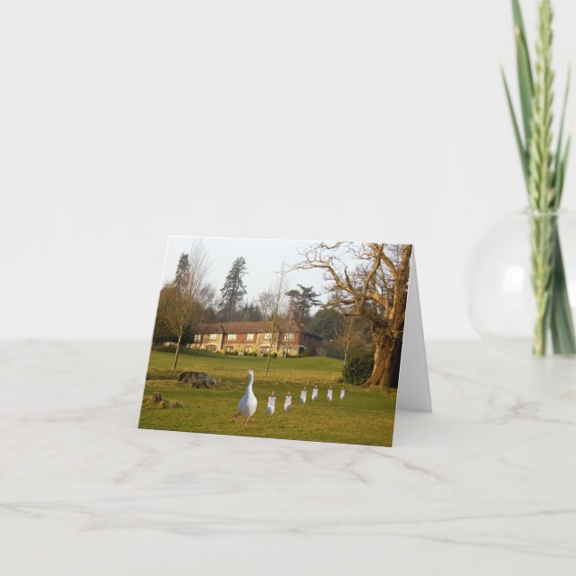 Gås och gässungars dagstur kort (Framsida)