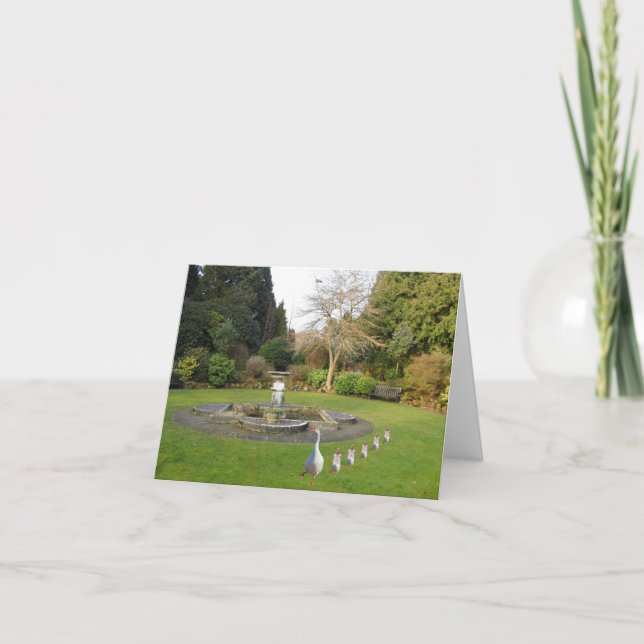 Gås och gässungars utflykt kort (Framsida)