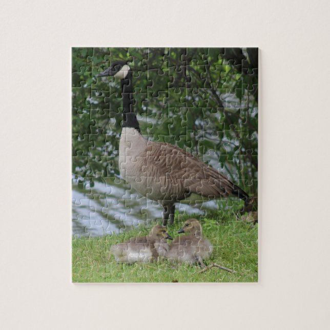 Gås och Goslings Pussel (Vertikal)