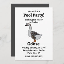 Gås på jakt efter vatten att simma i Afrikansk gås