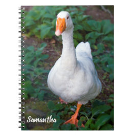 Gås Spiral anteckningsbok