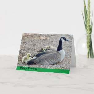 Gåse med baby-gäss kort