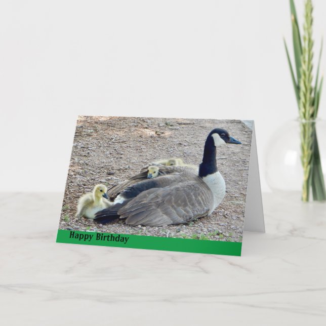 Gåse med baby-gäss kort (Framsida)