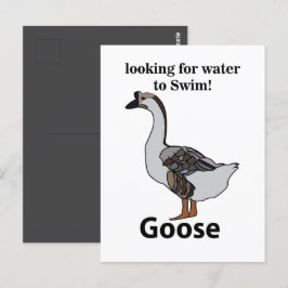 Gåse Tittar för Vatten till Simma afrikansk gås Vykort