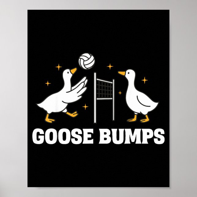 Gåshud Volleyboll  Poster (Framsidan)