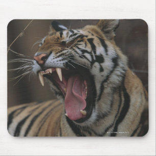 Gäspa för tigerunge musmatta
