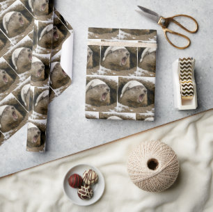 Gäspande murmeldjur som bär en natthätta presentpapper