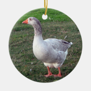 Gåsprydnad Julgransprydnad Keramik