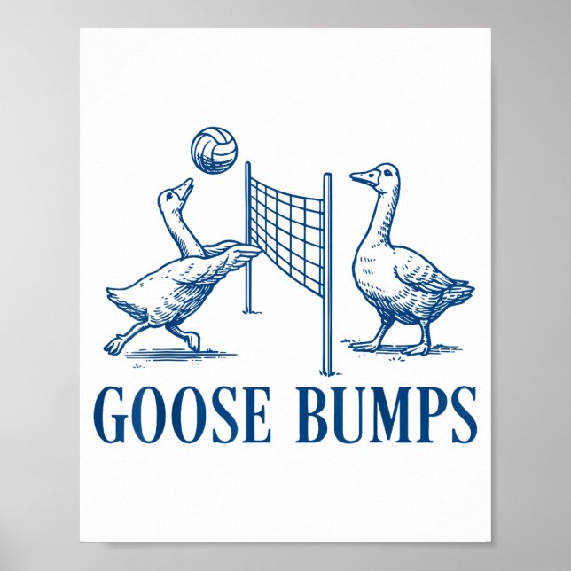 Gåspumpsvolleyboll  poster (Framsidan)