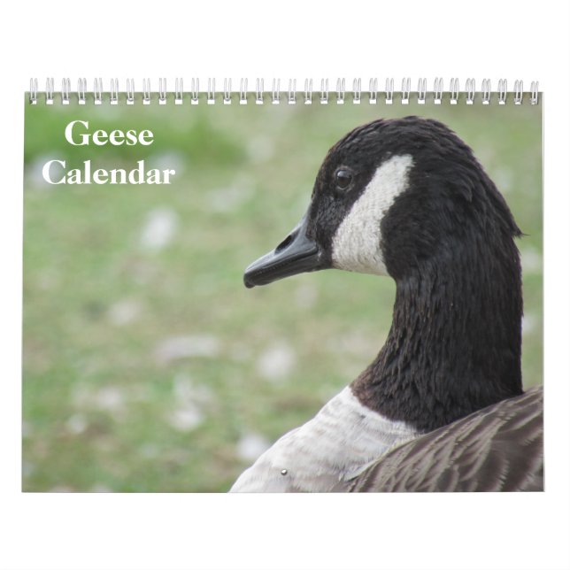 Gäss 2027 kalender (Omslag)