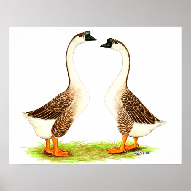 Gäss: Brunkinesiska Poster (Framsidan)