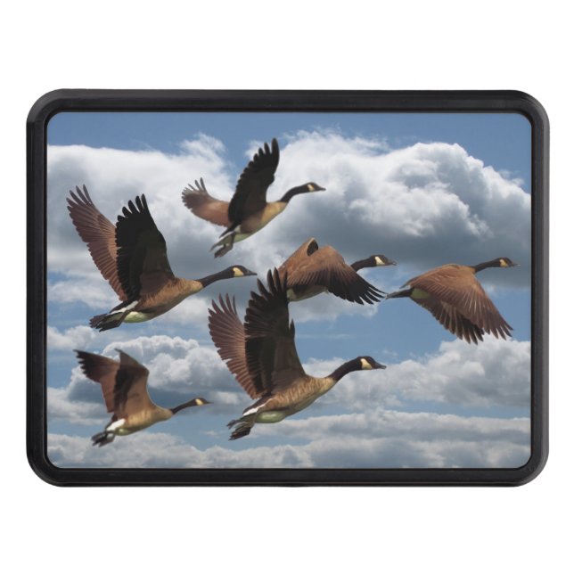 GÄSS DRAGKROKSSKYDD (Framsidan)