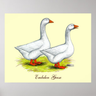 Gäss: Embden Pair Poster