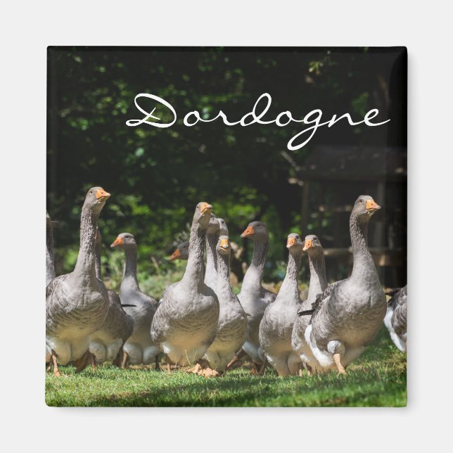 Gäss i Dordognes textmagnet Magnet (Framsidan)