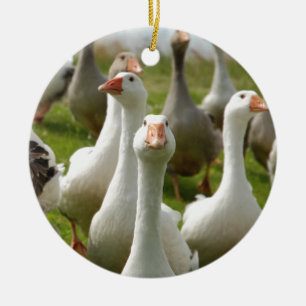 Gäss Julgransprydnad Keramik