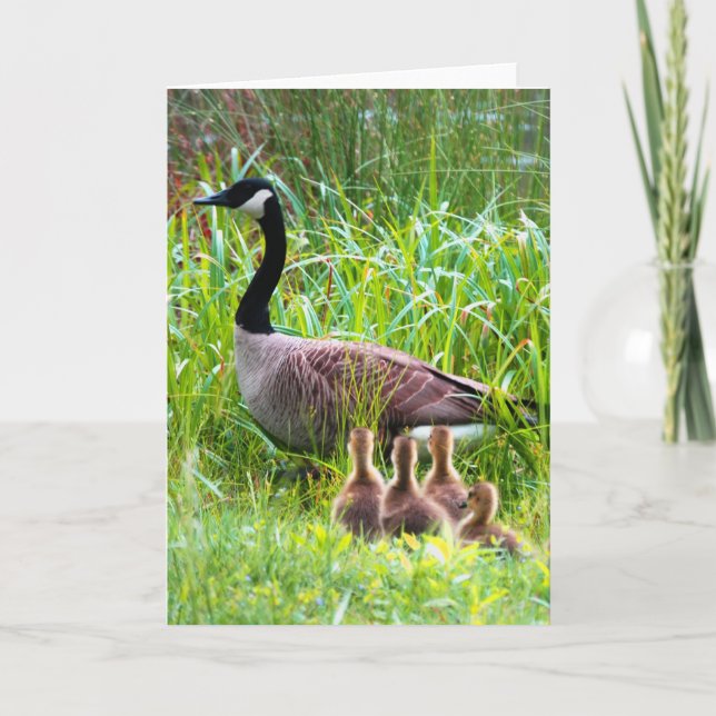 Gäss Kort (Framsida)