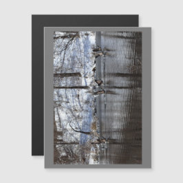 Gäss lyft av Vatten