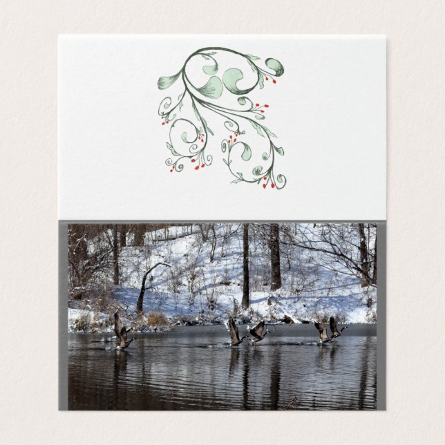 Gäss lyft av Vatten Kort (Utsida ovikt)