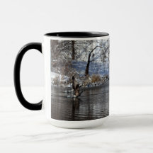 Gäss lyft av Vatten under flygning