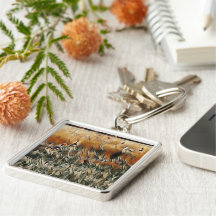 Gäss och Anka Roam Art