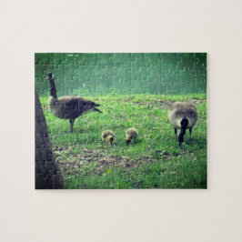 Gäss och golvbeklädnad för självvård pussel