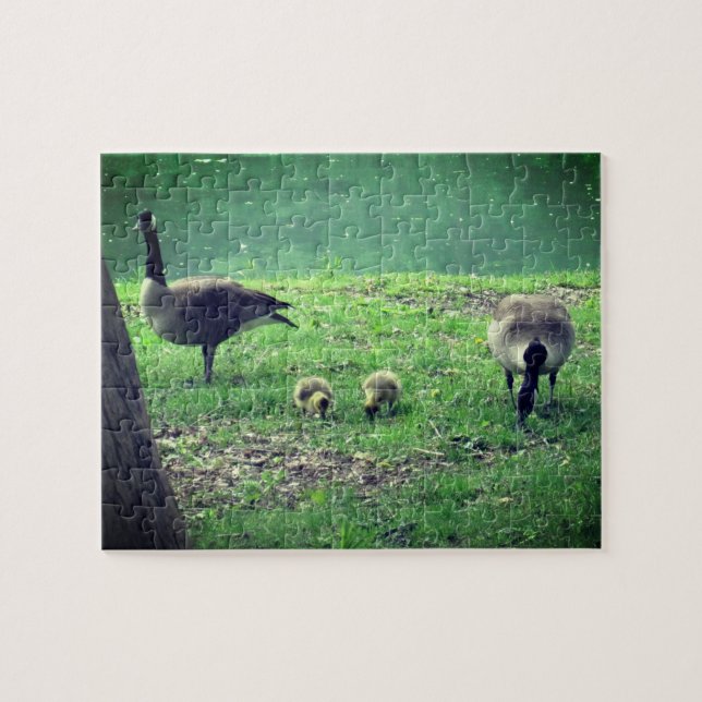 Gäss och golvbeklädnad för självvård pussel (Horisontell)