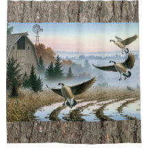 Gäss på gården Fält