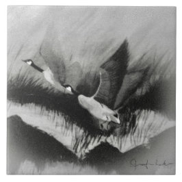 Gäss på Mist Kakelplatta