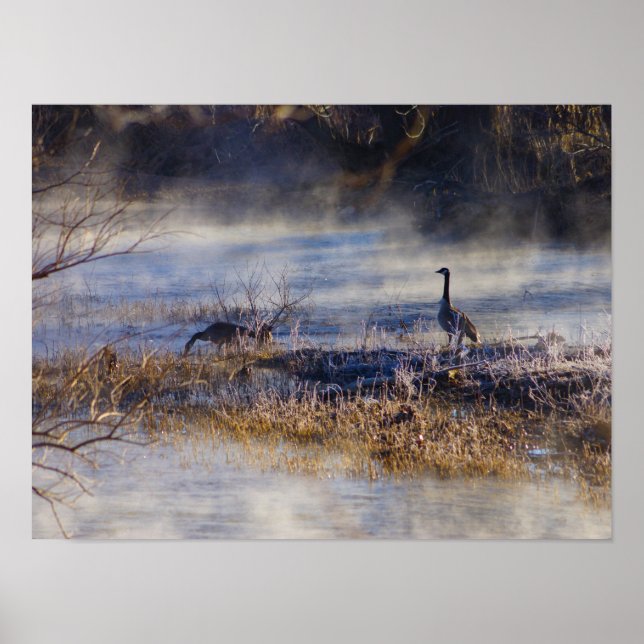 Gäss tar en Break Poster (Framsidan)