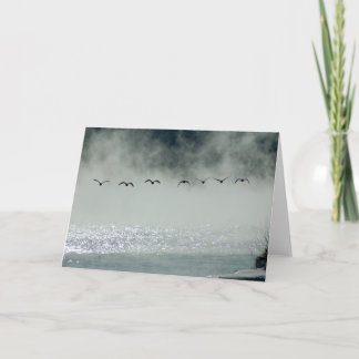 Gäss tar flygkortet kort