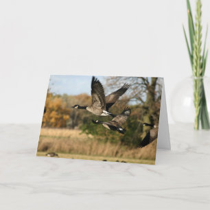 Gäss under flygning i höstblankt Notecard Kort