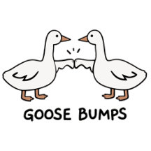 Gässpump