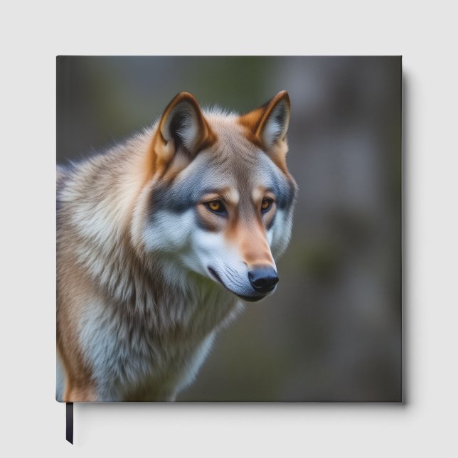 Gästbok  (Framsida)