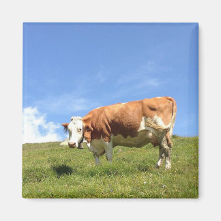 Gästehaus Fernerblick - Kuhmagnet Magnet