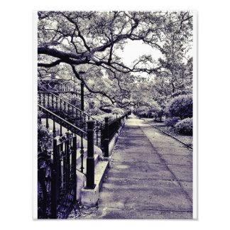 Gaston Street Fototryck