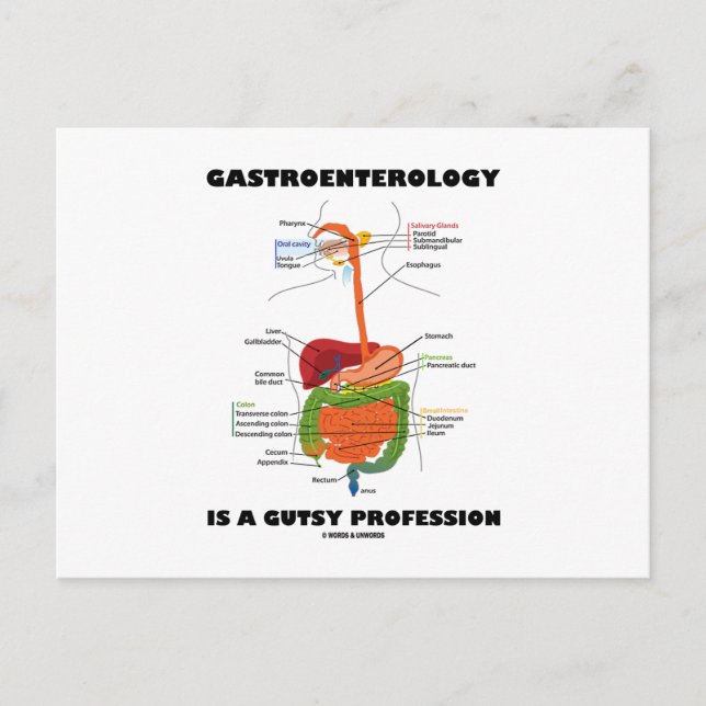 Gastroenterologi är ett gyllene yrke vykort (Framsida)
