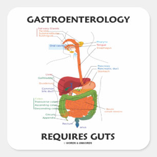 Gastroenterologi kräver tarmar (matsmältningssyste fyrkantigt klistermärke
