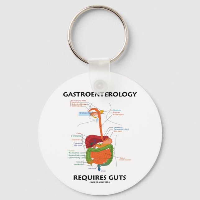 Gastroenterologi kräver tarmar (matsmältningssyste nyckelring (Framsida)