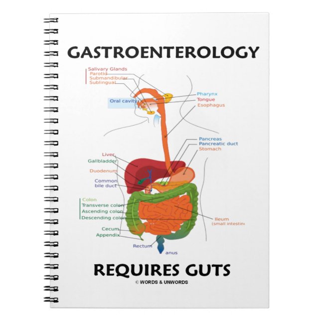 Gastroenterologin kräver matsmältningssystemet anteckningsbok (Framsidan)