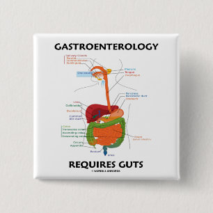 Gastroenterology kräver innanmäte knapp