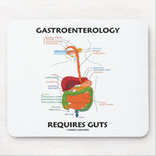 Gastroenterology kräver innanmäte musmatta