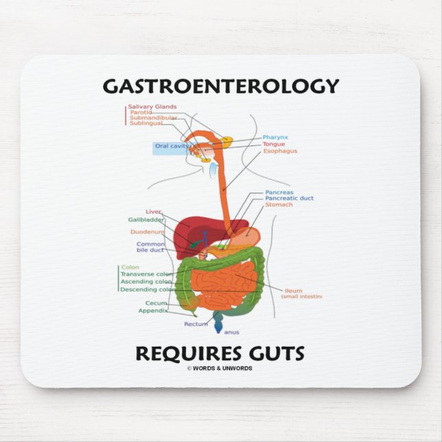Gastroenterology kräver innanmäte musmatta (Framsidan)