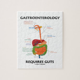 Gastroenterology kräver innanmäte pussel