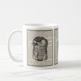 Gastrointestinal anatomi Mugg Medicinsk Gift