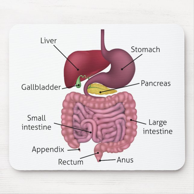 Gastrointestinala matningssystem och etiketter musmatta (Framsidan)