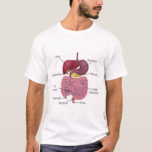 Gastrointestinalt digestivkexsystem och etiketter t shirt (Framsida)